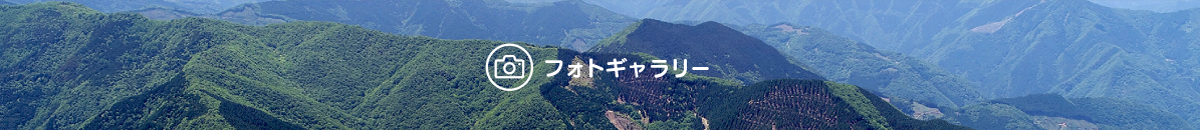 フォトギャラリー