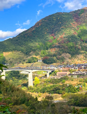 林道整備 生物多様性保全