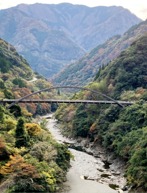 枯渇水源再生 在来生物再生
